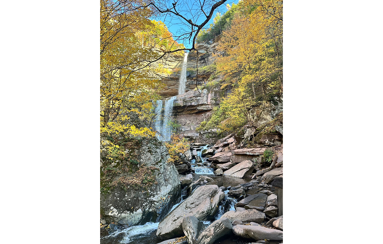 Image for Took time to breath in nature during this hike and get some journaling done before the trek back up the mountain! (Mental/Emotional) (Physical)